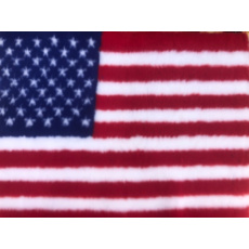 US vlajka vetbed